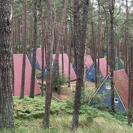 Kleine Finnhütte Für Große Entspannung, Mitten Im Dünenwald Am - Frieda Ferienhaus